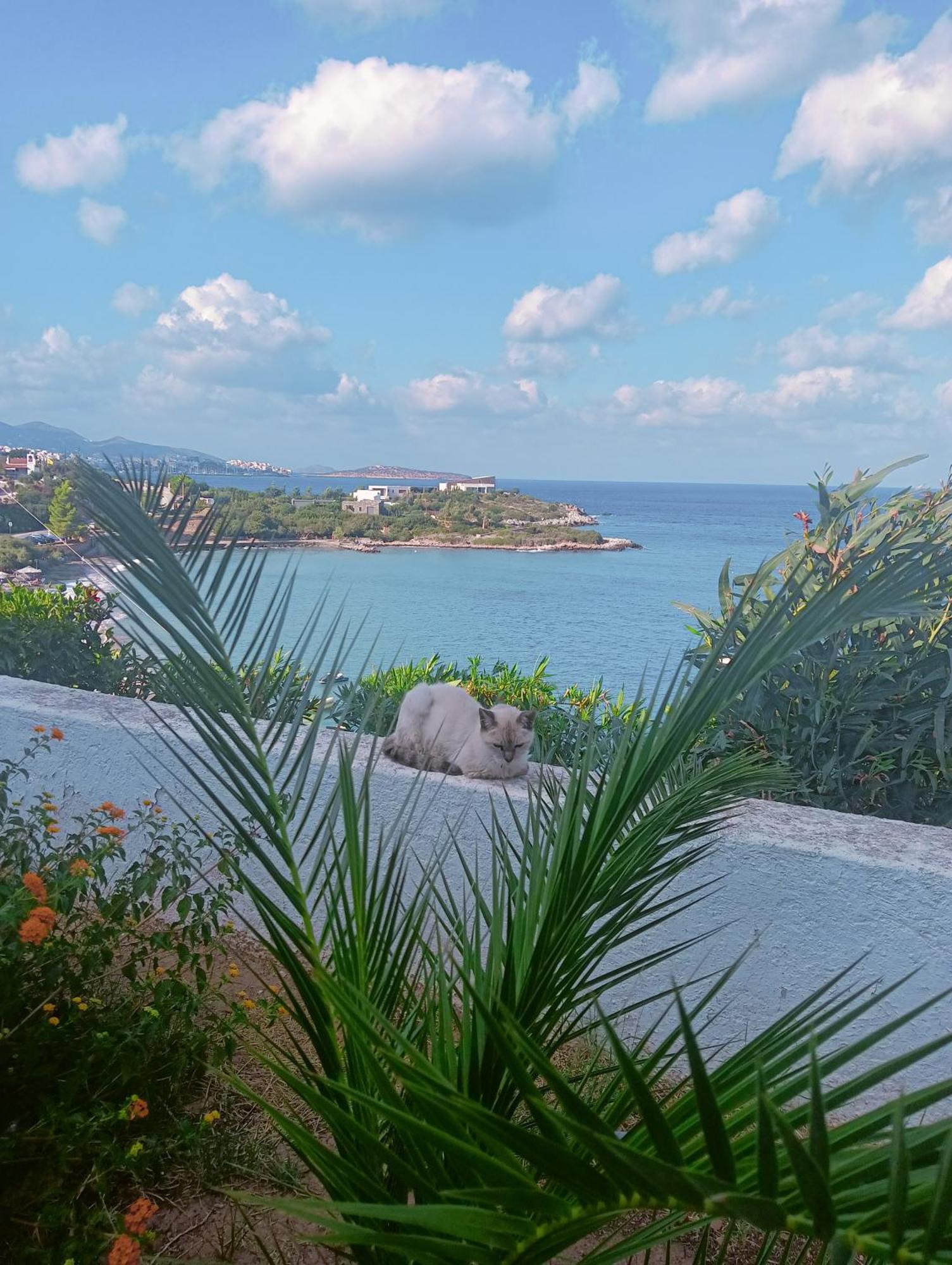 Residence Gerani Amoudara  Bagian luar foto
